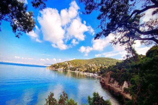 Private Full Day Princes' Islands Tour
