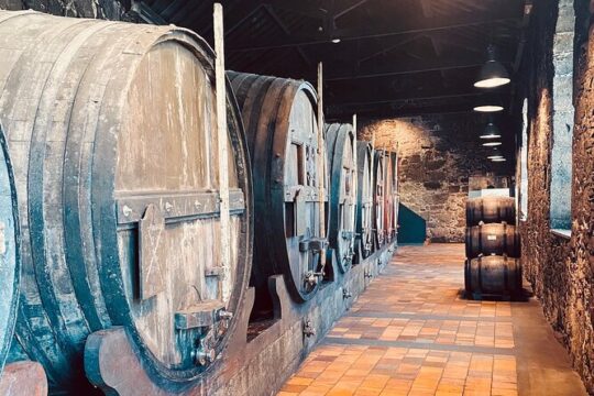 Douro: luxury walking tour and wine tasting in Quinta dos Murças