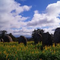 Archaeology Tours