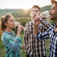 Full-day Tours