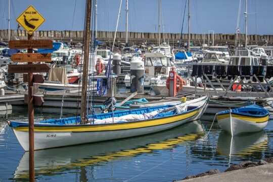 São Miguel: Azorean Whalers Heritage Tour