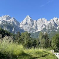 Tours & Sightseeing