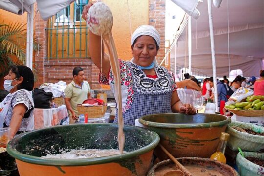 Culture, History and Food in Oaxaca City