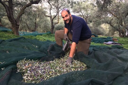 In Crete Discover the miracle of Olive Oil and Organic Fruits