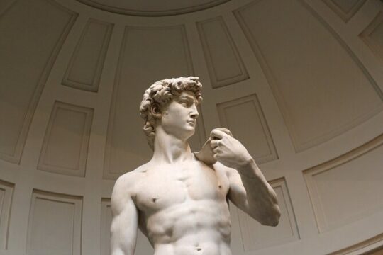 Florence: Private tour to see David