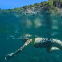 Scuba Diving