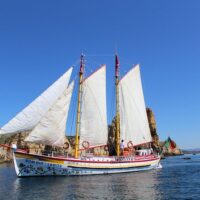 Tours & Sightseeing