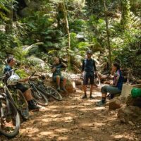 Shore Excursions