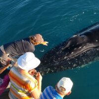 Sustainable Tours
