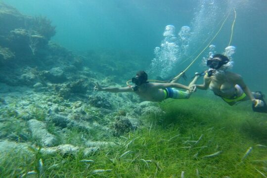 3 ADVENTURES: Sailing Catamaran Cruise - Hooka Diving - Snorkeling