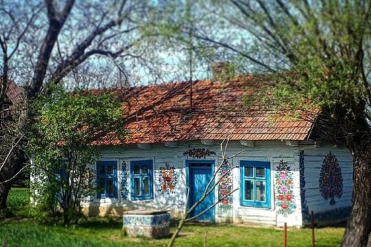 Full-Day Zalipie Painted Village Guided Tour