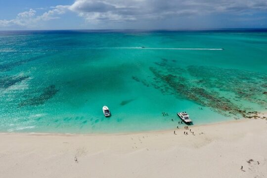 4hour Group Half Day Snorkeling Excursion in Grace Bay