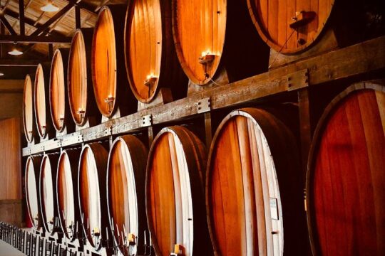 Full Day Private Mtskheta Region Wine Tour from Tbilisi