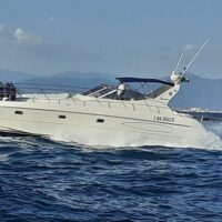 Private & Custom Tours