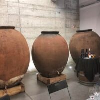 Wine Tasting & Winery Tours