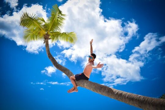 Saona Island Paradise Full Day - all inclusive. From Punta Cana & Bayahibe