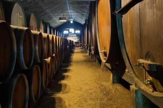 Wine Tour Adventure: Wines and Beaches of Setúbal