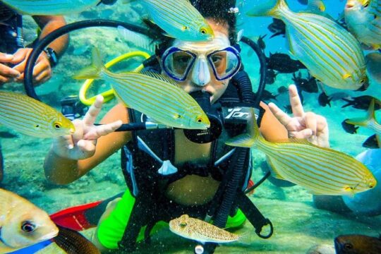 Scuba Diving Tour and Experience in Alanya
