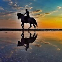 Horseback Riding