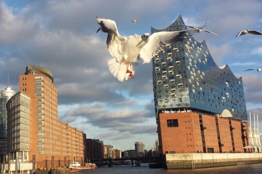 Experience Hamburg differently and enjoy it in a relaxed way with your own bike