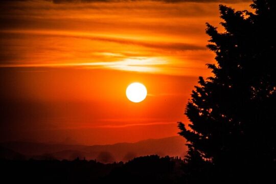 Sunset Hike in Fiesole with aperitif
