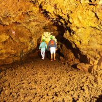 Shore Excursions