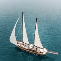 Cruises, Sailing & Water Tours