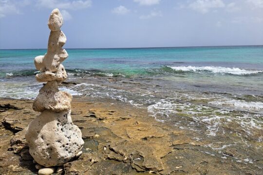 Tour Barbados Your Way
