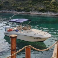 Private & Custom Tours