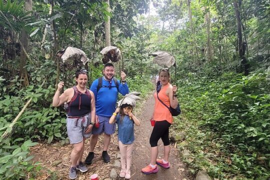 MEGA Northeast Full Day Tour: Rainforest, Rivers, and Beaches