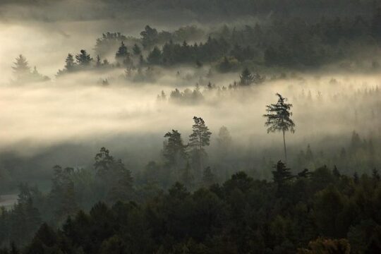 Private Bohemian Paradise n. park tour from Prague All-Inclusive