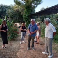 Wine Tasting & Winery Tours