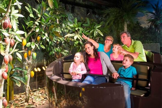 Swiss Chocolate Adventure at Swiss Museum of Transport in Lucerne
