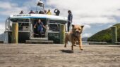 Saturday on the Mailboat