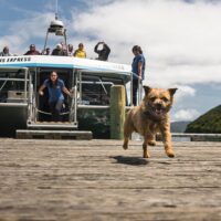 Cruises, Sailing & Water Tours