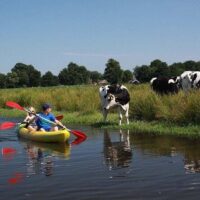 Water Sports