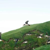 Shore Excursions