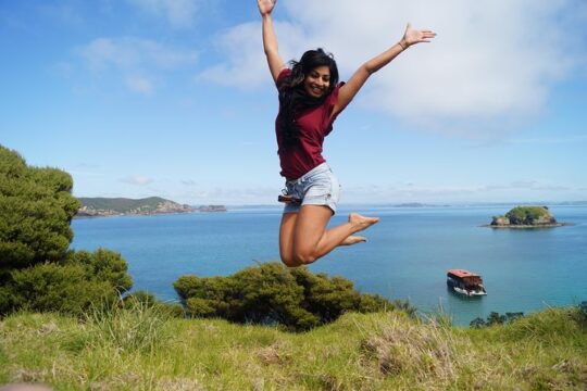 Full-Day Adventure Cruise with Lunch in Bay of Islands