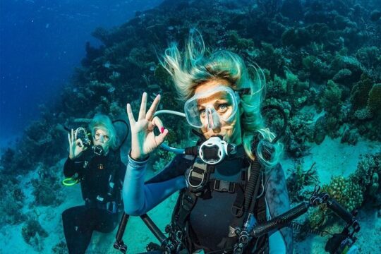 Scuba Diving Tour with Lunch & Roundtrip Transfer from Belek