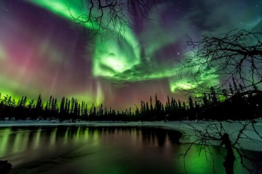 Northern Lights Hunt Including Snacks on Campfire from Rovaniemi