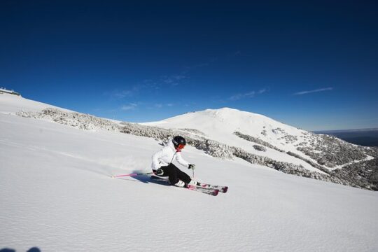 Full-Day Mount Buller Tour