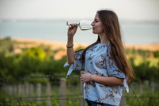 Lake Balaton Full Day Private Wine Tour