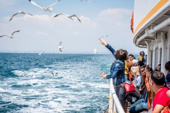 Full-Day Princes Island Tour with Lunch from Istanbul