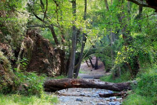 Beauty, Nature and Charm of Troodos Mountains from Paphos