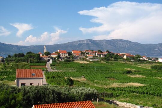 Korcula Bike & Wine Tour