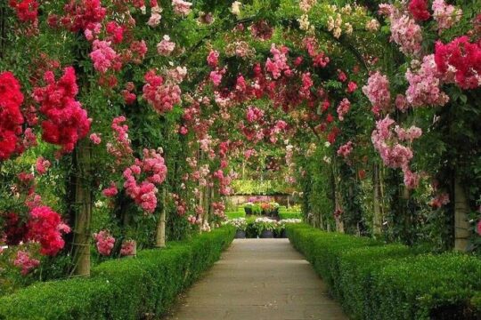 Private Tour: Auckland City and Countryside Tour