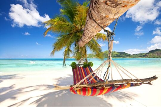 Saona Island Day Trip From Punta Cana with Pick Up and Open Bar