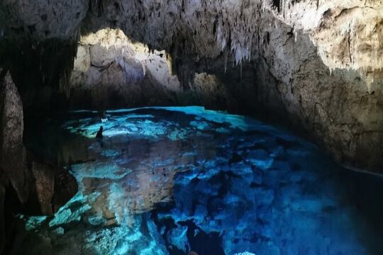 Snorkeling in the Cenotes of Bayahibe