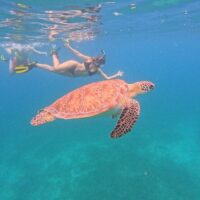 Private & Custom Tours