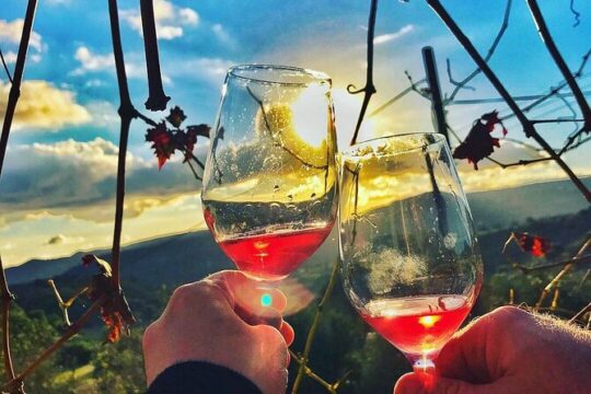Wine Tasting and Winery Tour in Lemona Village, Paphos
